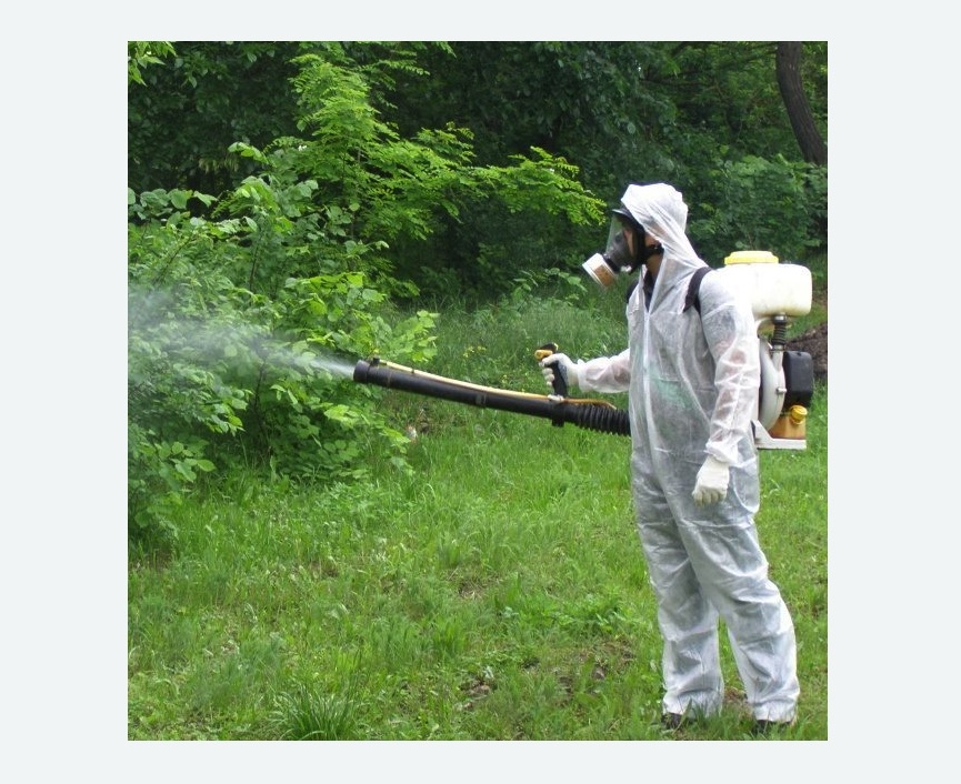 обработка дачи от клещей обработка территории от клещей в Хвалынске