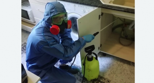 Уничтожение муравьев в квартире. Хвалынск