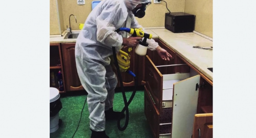 Уничтожение насекомых в квартире. Хвалынск
