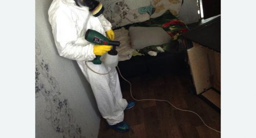 Обработка квартир от насекомых в Хвалынске