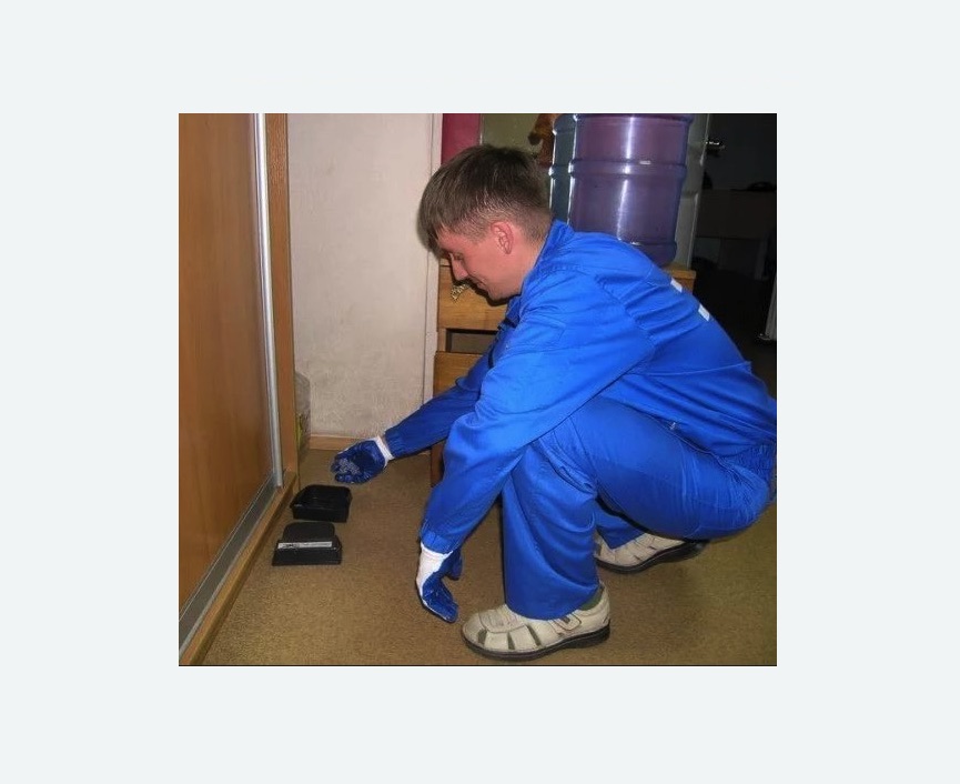 Дератизация крыс Дератизация крыс в Хвалынске