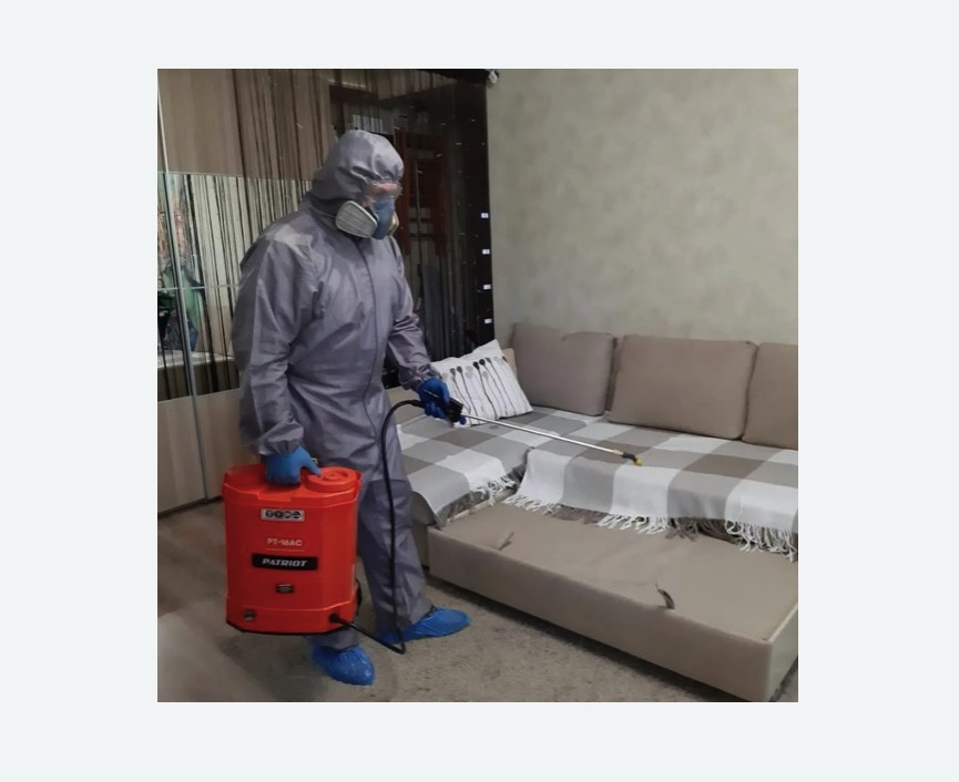 Обработка квартиры от блох в Хвалынске Обработка квартиры от блох