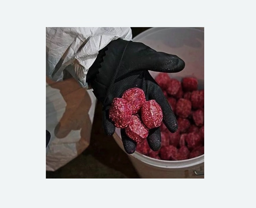 Обработка от крыс Обработка от крыс в Хвалынске