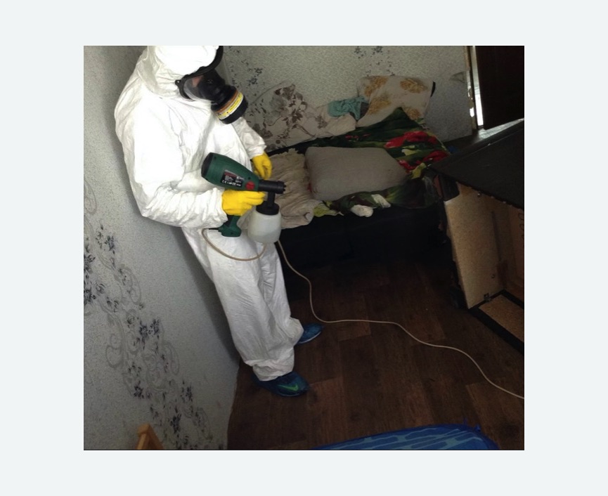 Обработка от насекомых в Хвалынске Обработка квартиры от насекомых