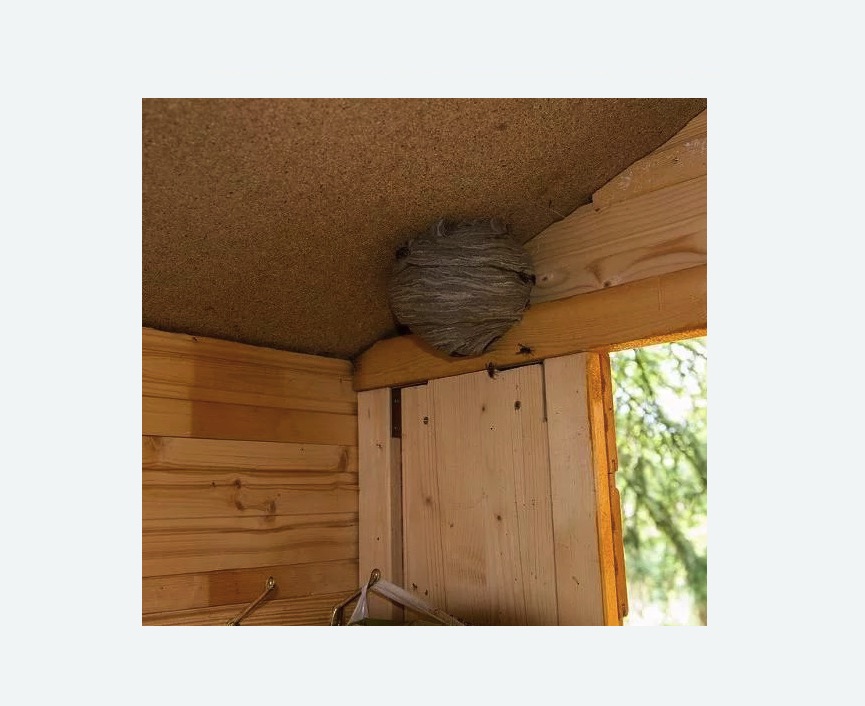 Обработка от ос в Хвалынске Обработка от ос