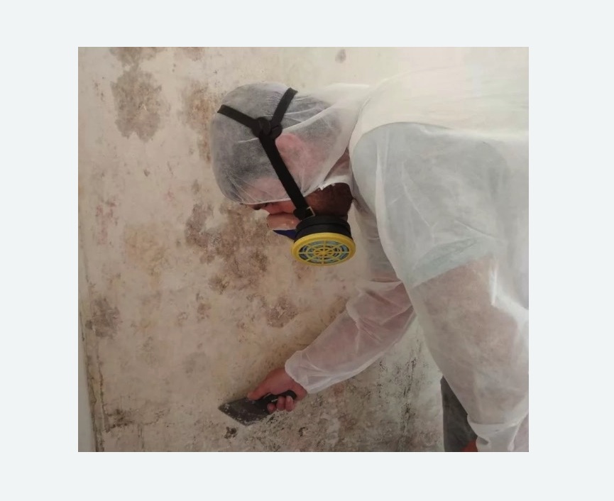 Обработка стен от плесени Обработка стен от плесени в Хвалынске