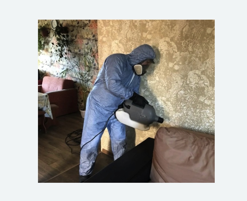 Уничтожение блох в квартире. Хвалынск Уничтожение блох в квартире