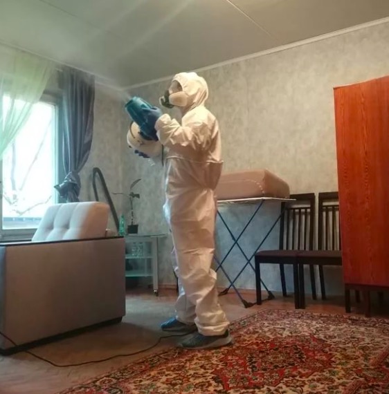 дезинсекция квартиры в Хвалынске