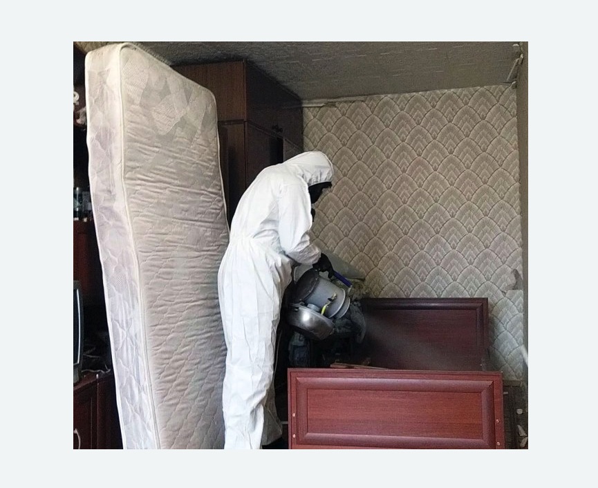 дезинфекция от клопов в Хвалынске