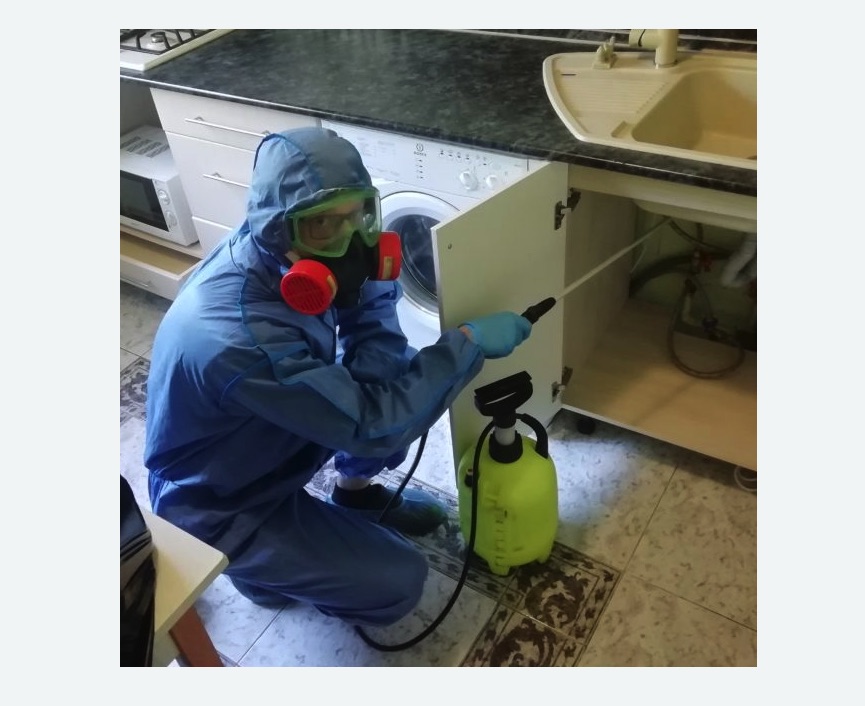 обработка от муравьев в квартире обработка от муравьев в квартире в Хвалынске