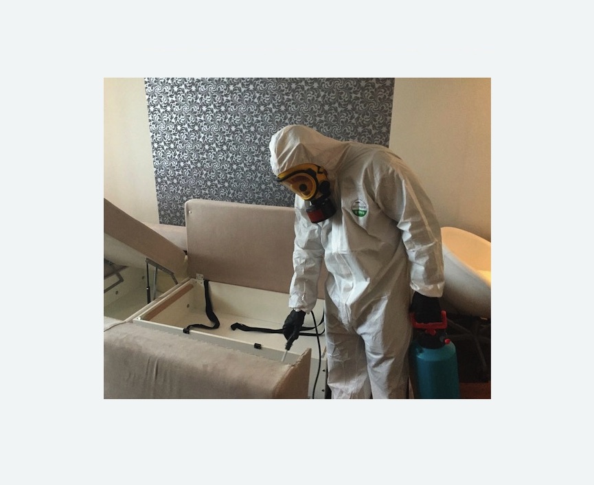 уничтожение клопов в квартире в Хвалынске