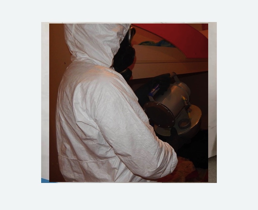 Дезинфекция от муравьев Дезинфекция от муравьев в Хвалынске